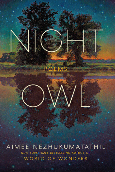 Cover image for book Night Owl