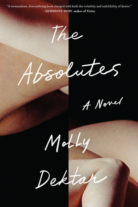 Cover image for book The Absolutes