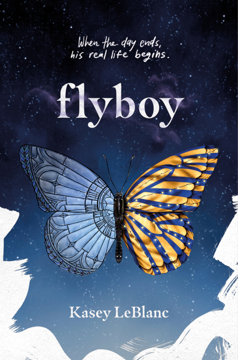 Cover image for book Flyboy