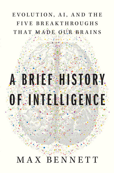 Cover image for book A Brief History of Intelligence