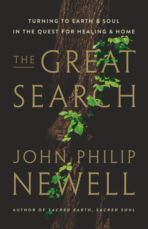 Cover image for book The Great Search