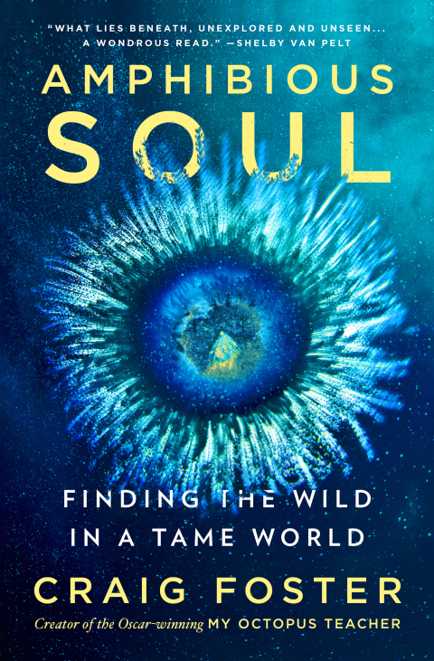 Cover image for book Amphibious Soul