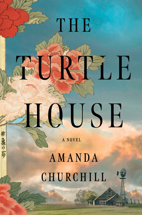 Cover image for book The Turtle House