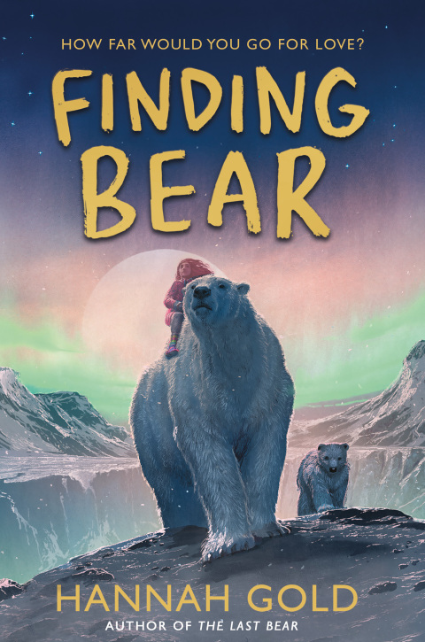 Cover image for book Finding Bear