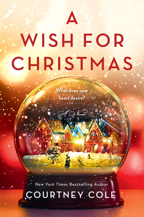 Cover image for book A Wish for Christmas