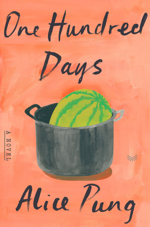 Cover image for book One Hundred Days