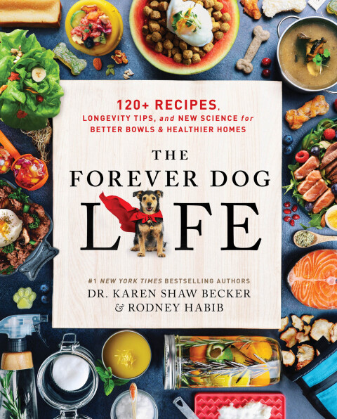Cover image for book The Forever Dog Life