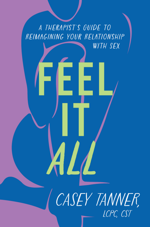 Cover image for book Feel It All