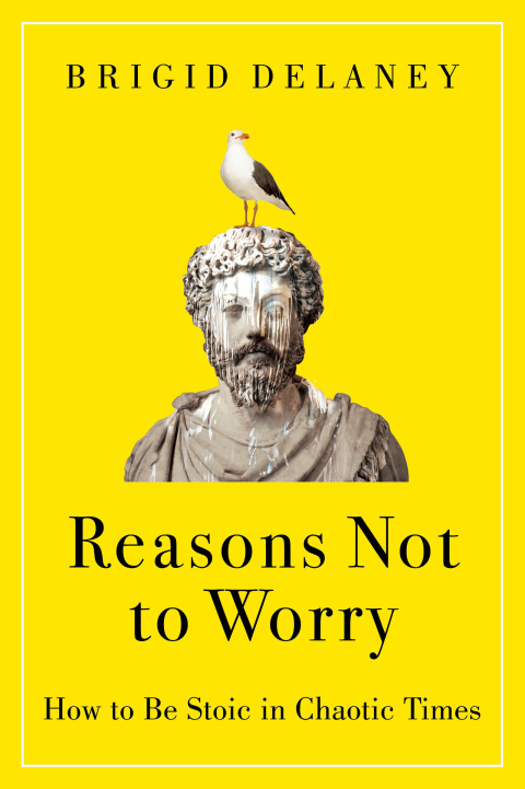 Cover image for book Reasons Not to Worry