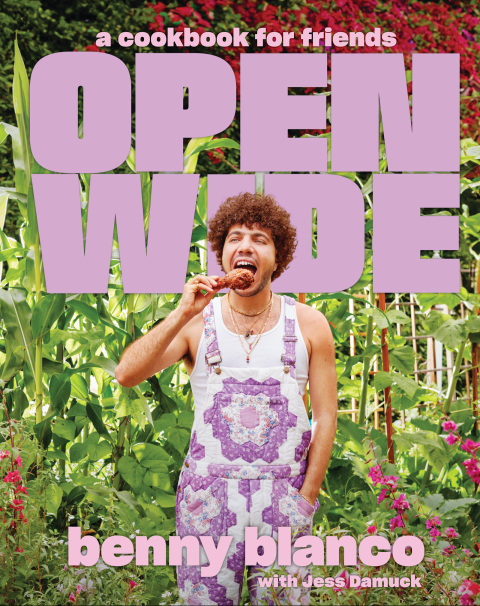 Cover image for book Open Wide