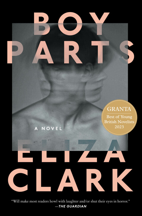 Cover image for book Boy Parts