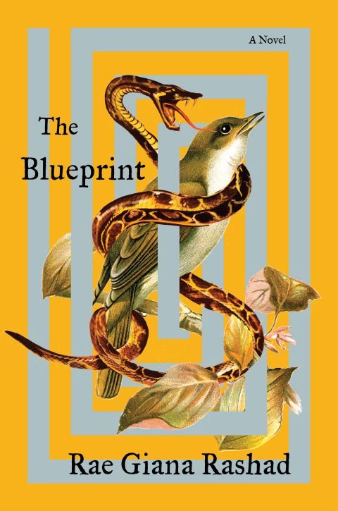 Cover image for book The Blueprint