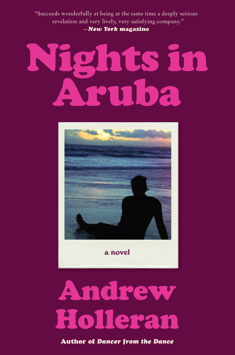 Cover image for book Nights in Aruba