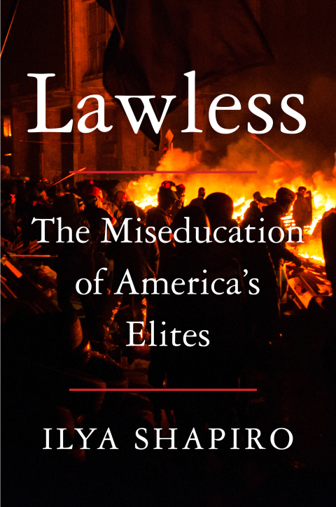 Cover image for book Lawless