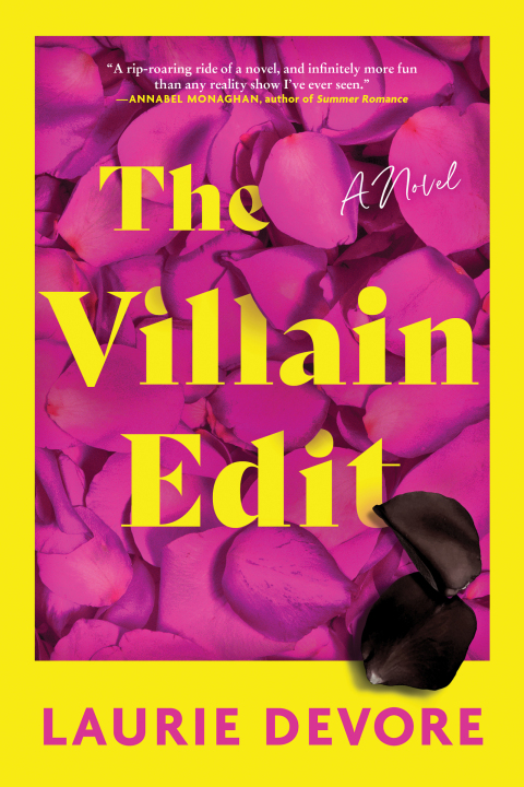 Cover image for book The Villain Edit