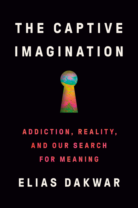 Cover image for book The Captive Imagination