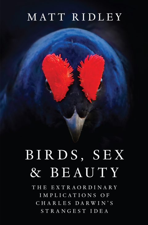 Cover image for book Birds, Sex and Beauty