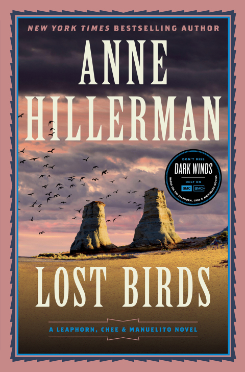 Cover image for book Lost Birds