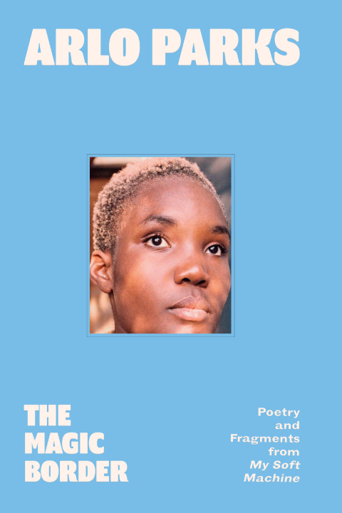 Cover image for book The Magic Border