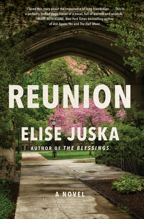 Cover image for book Reunion
