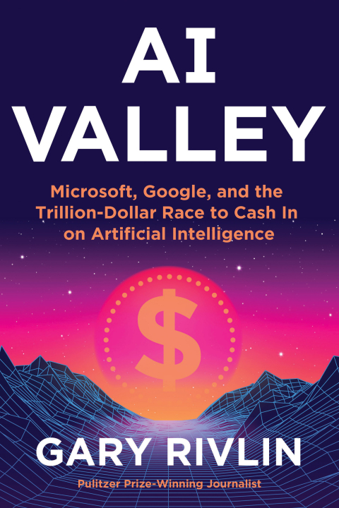 Cover image for book AI Valley