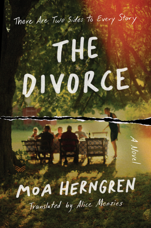 Cover image for book The Divorce