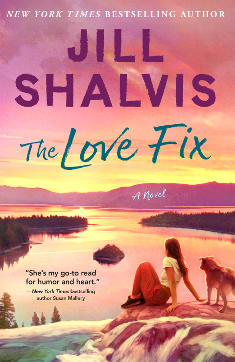 Cover image for book The Love Fix
