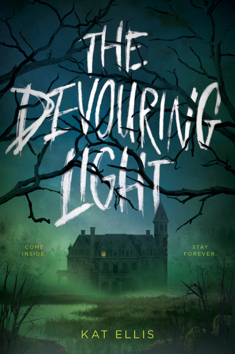 Cover image for book The Devouring Light