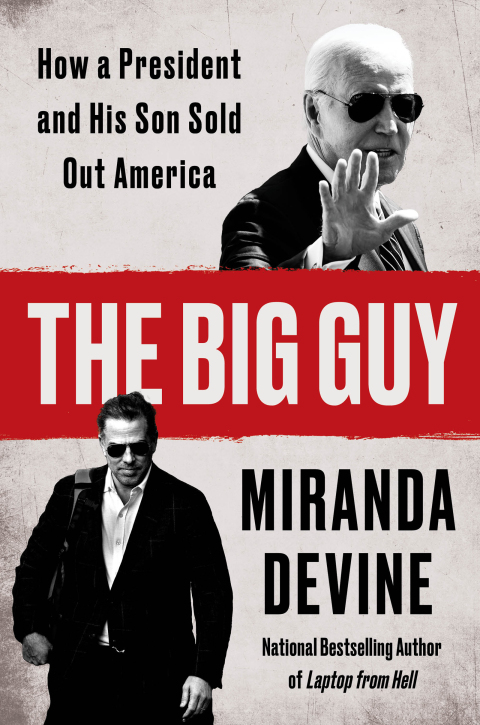 Cover image for book The Big Guy