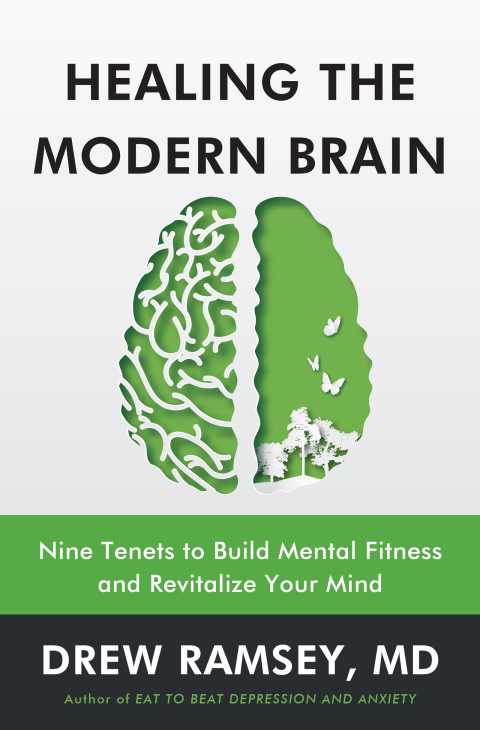 Cover image for book Healing the Modern Brain