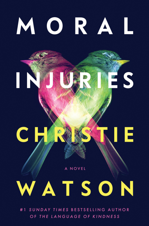 Cover image for book Moral Injuries