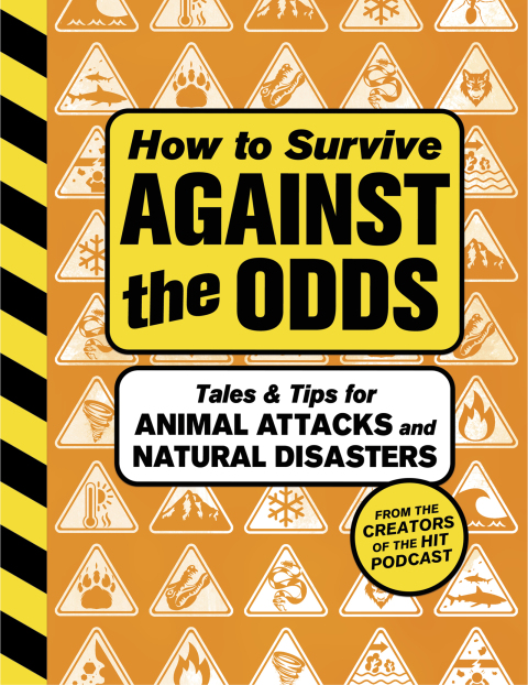 Cover image for book How to Survive Against the Odds