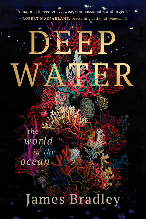 Cover image for book Deep Water