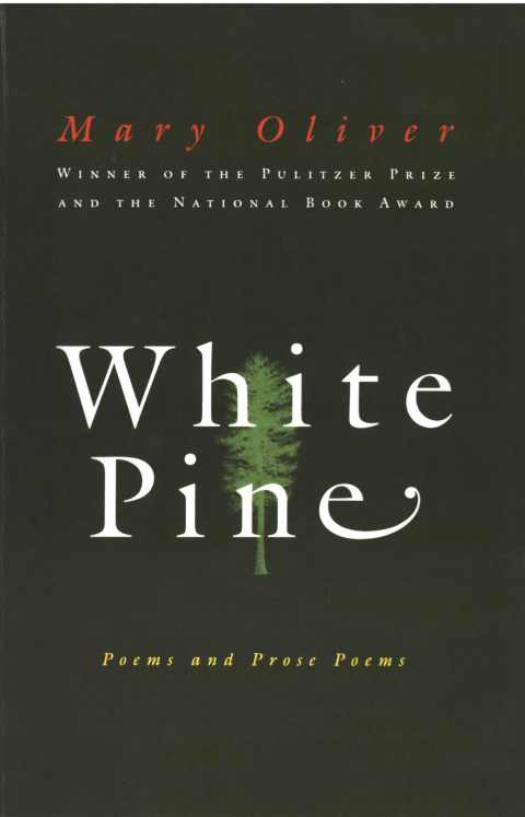 Cover image for book White Pine