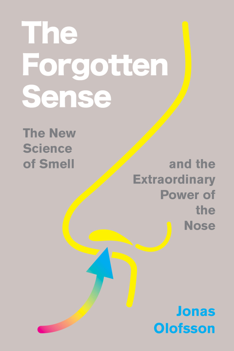 Cover image for book The Forgotten Sense