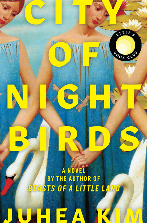 Cover image for book City of Night Birds