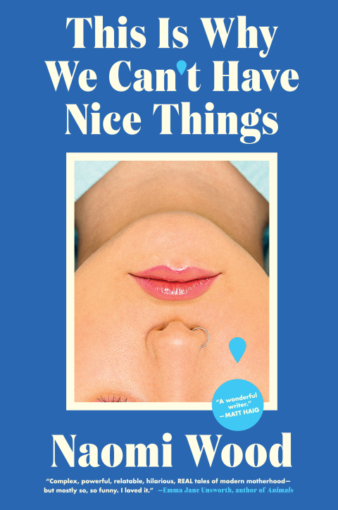 Cover image for book This Is Why We Can’t Have Nice Things