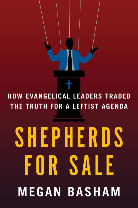 Cover image for book Shepherds for Sale