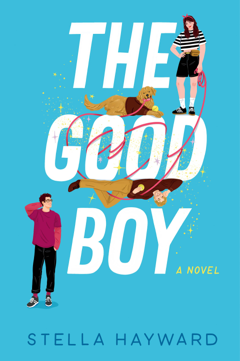 Cover image for book The Good Boy