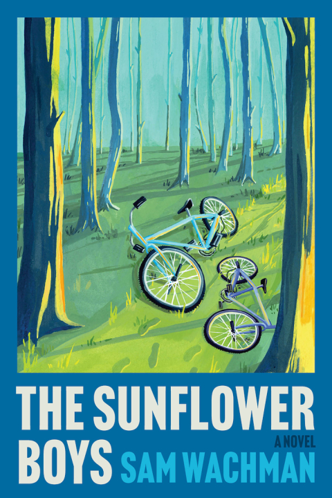 Cover image for book The Sunflower Boys