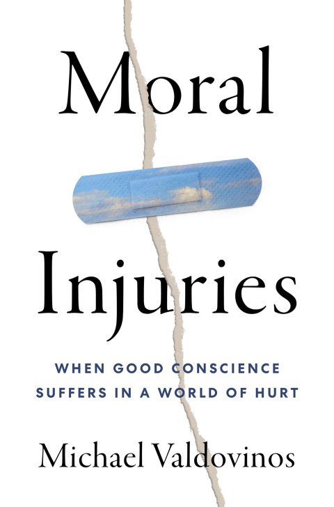Cover image for book Moral Injuries