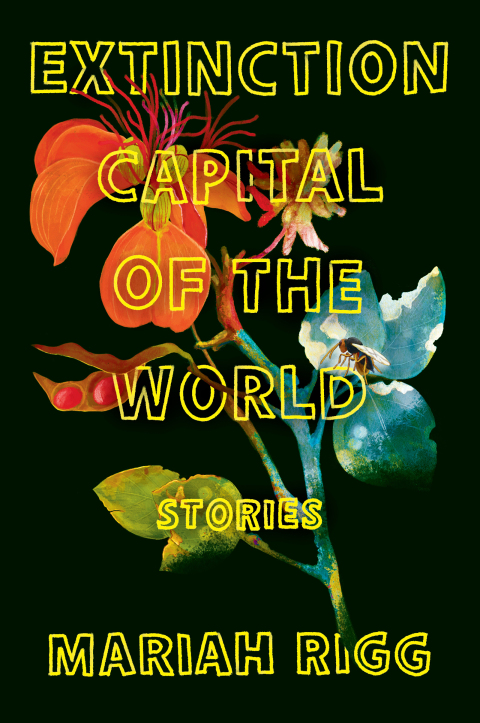 Cover image for book Extinction Capital of the World