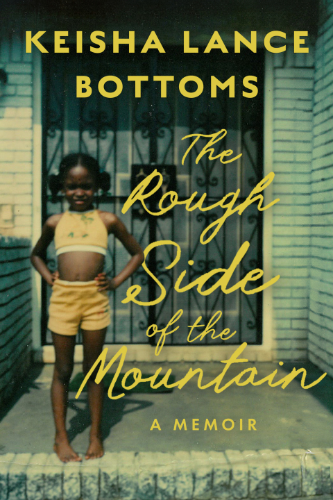 Cover image for book The Rough Side of the Mountain