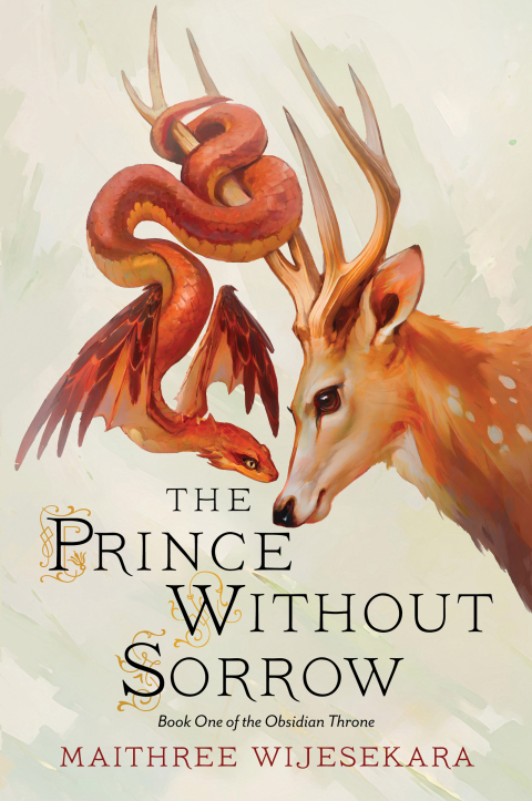 Cover image for book The Prince Without Sorrow