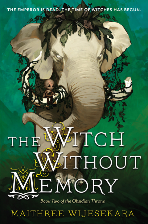 Cover image for book The Witch Without Memory