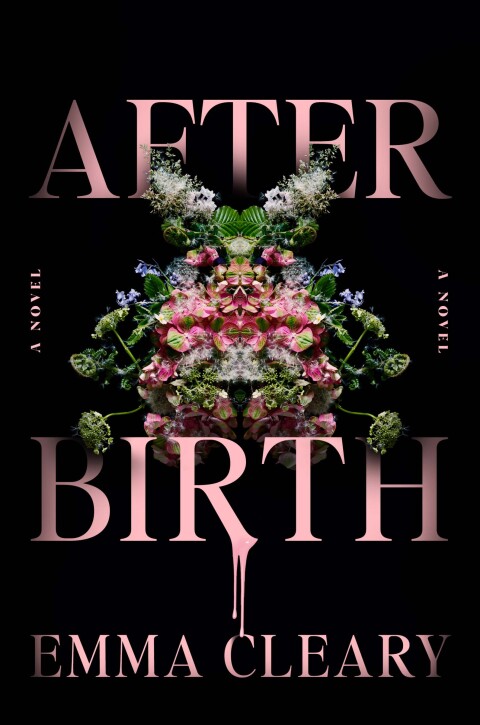 Cover image for book Afterbirth