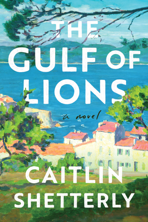 Cover image for book The Gulf of Lions