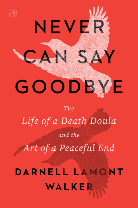 Cover image for book Never Can Say Goodbye