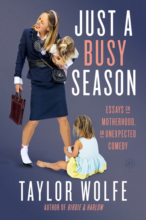 Cover image for book Just a Busy Season