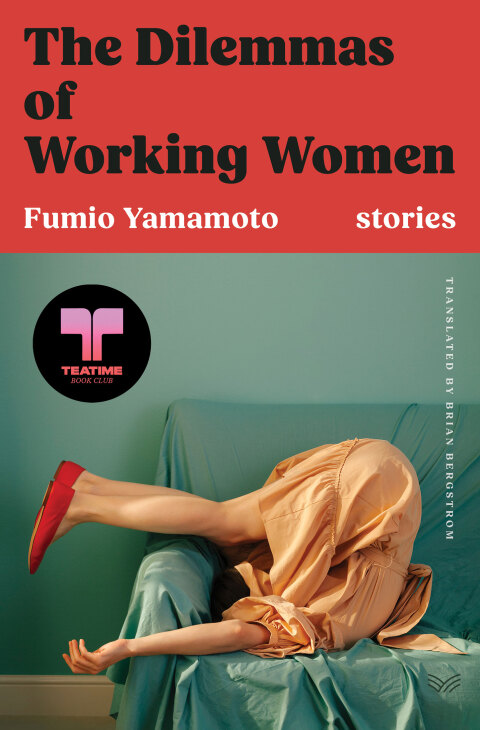 Cover image for book The Dilemmas of Working Women